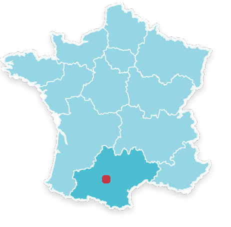 31320 Castanet Tolosan 